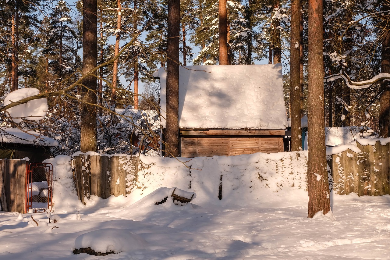 winter  michurinskiy  beauty free photo