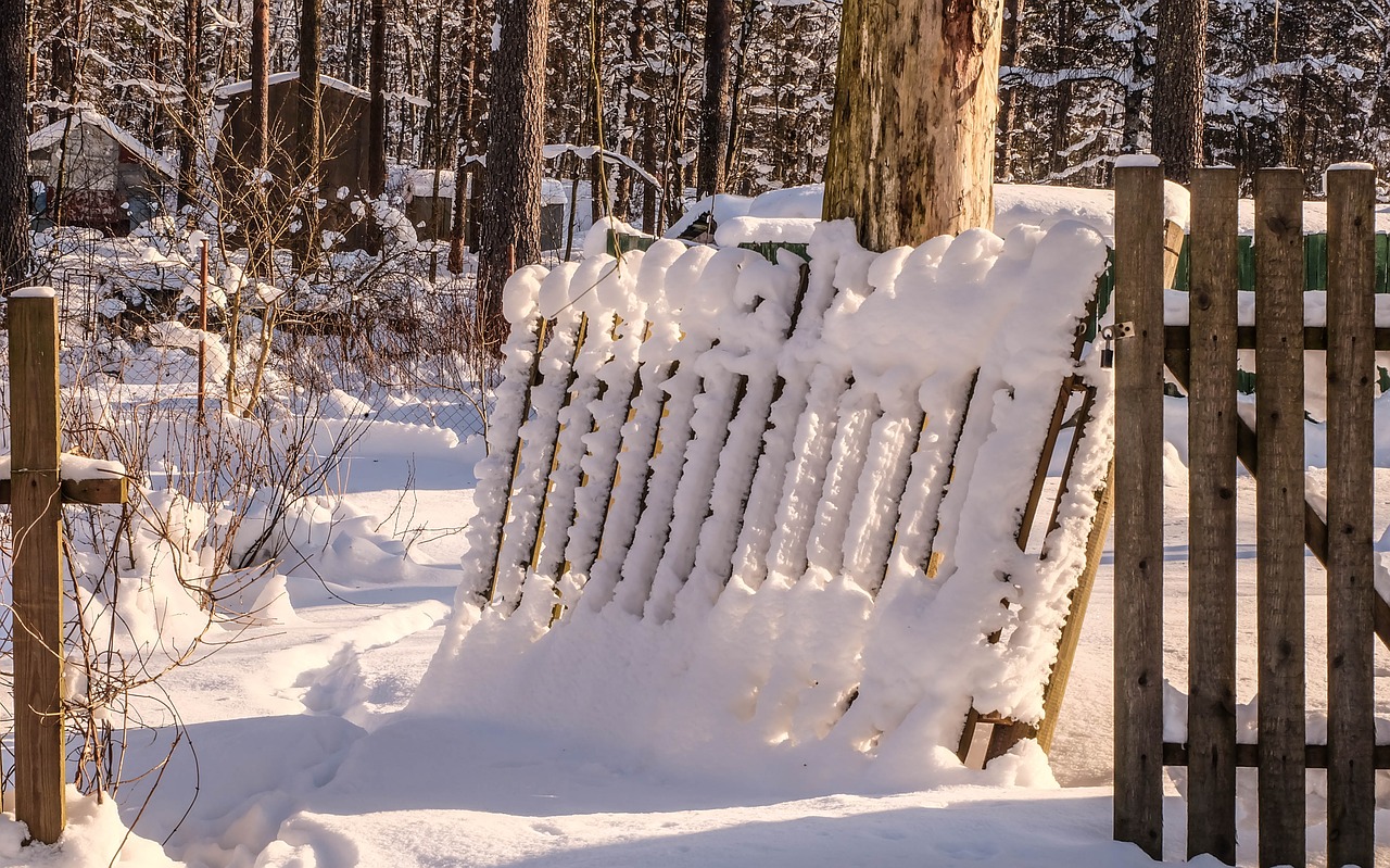 winter  michurinskiy  beauty free photo