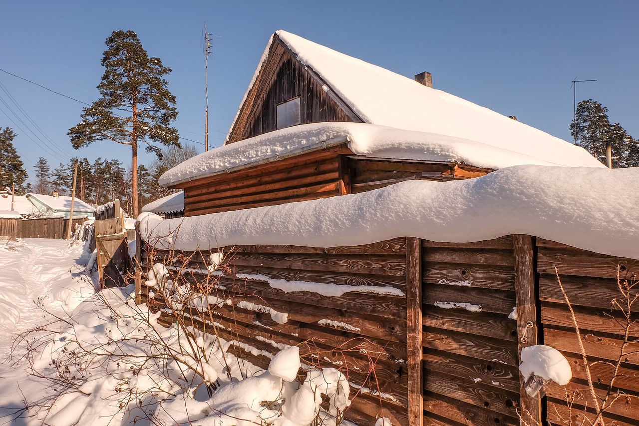 winter  michurinskiy  beauty free photo