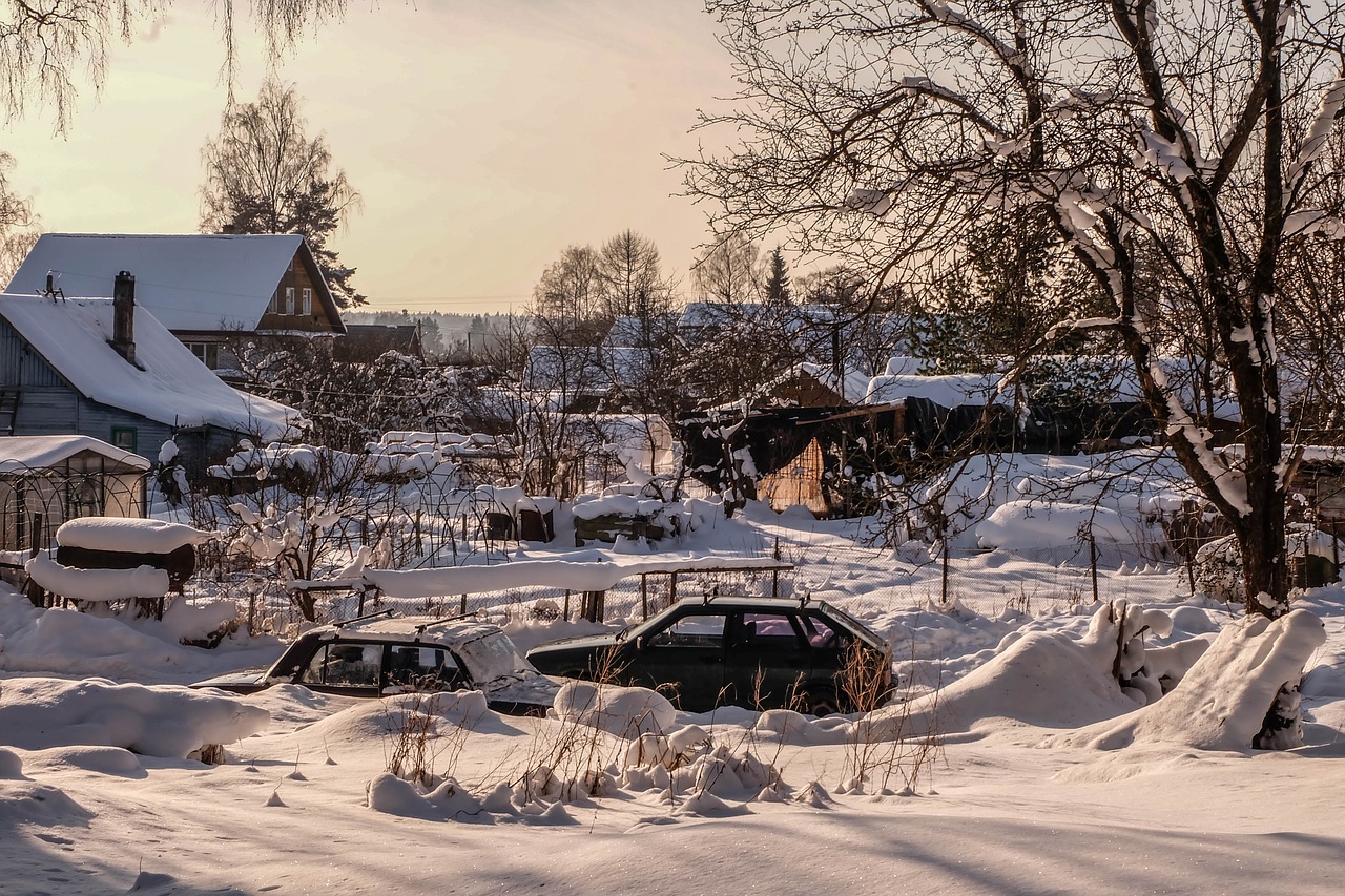 winter  michurinskiy  beauty free photo