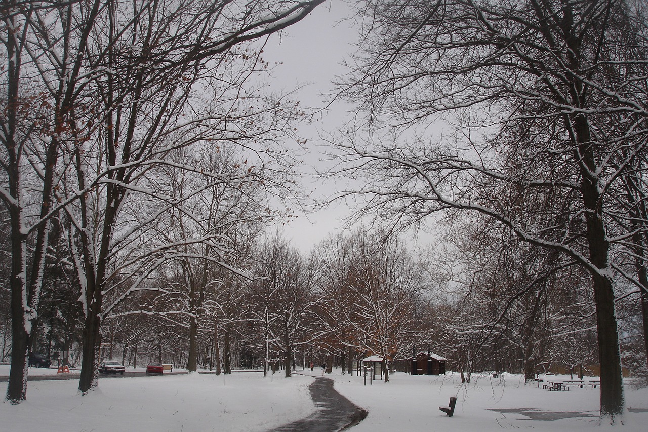 winter  landscape  snow free photo