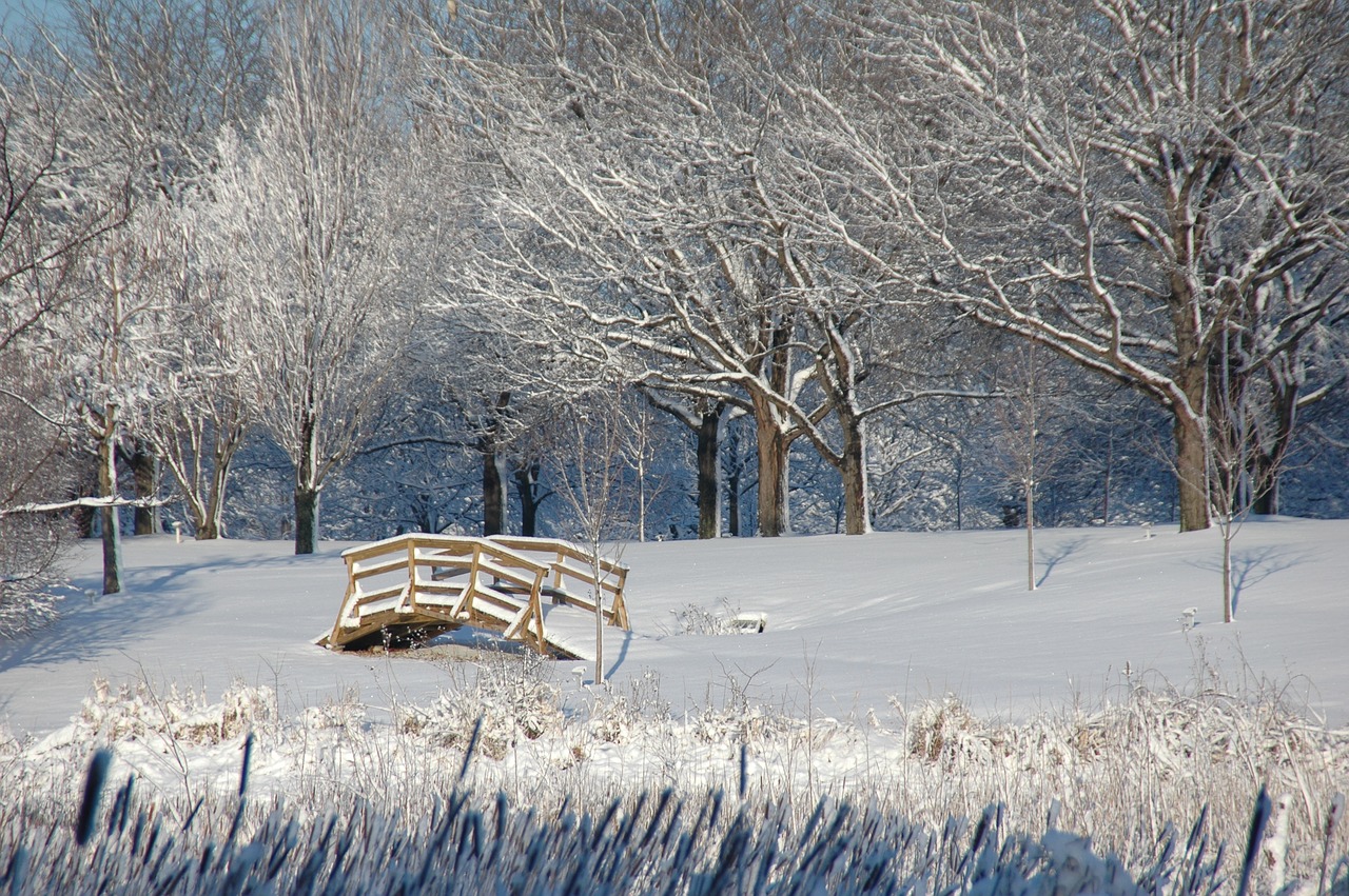 winter  bridge  snow free photo