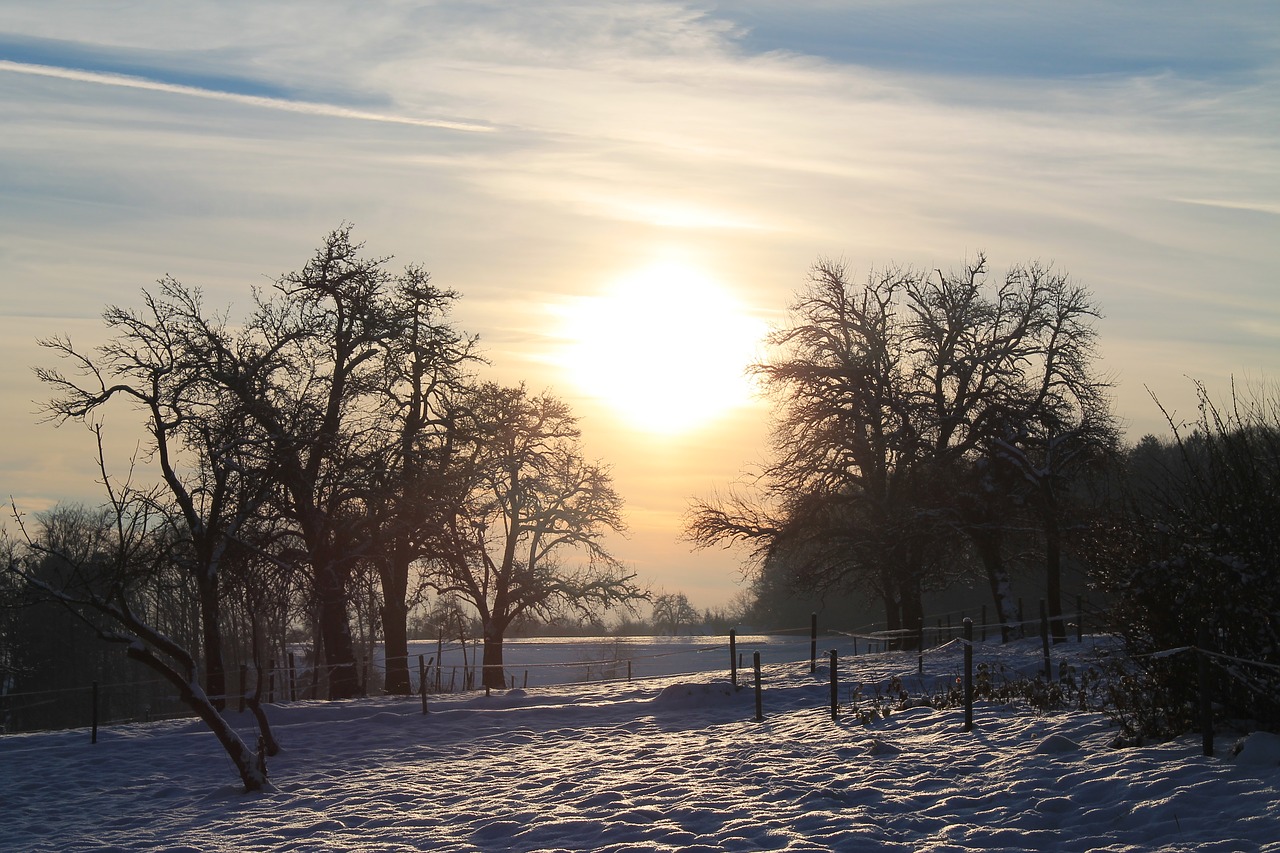 winter  sunset  landscape free photo