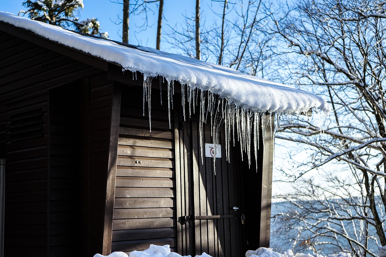 winter  snow  icicle free photo