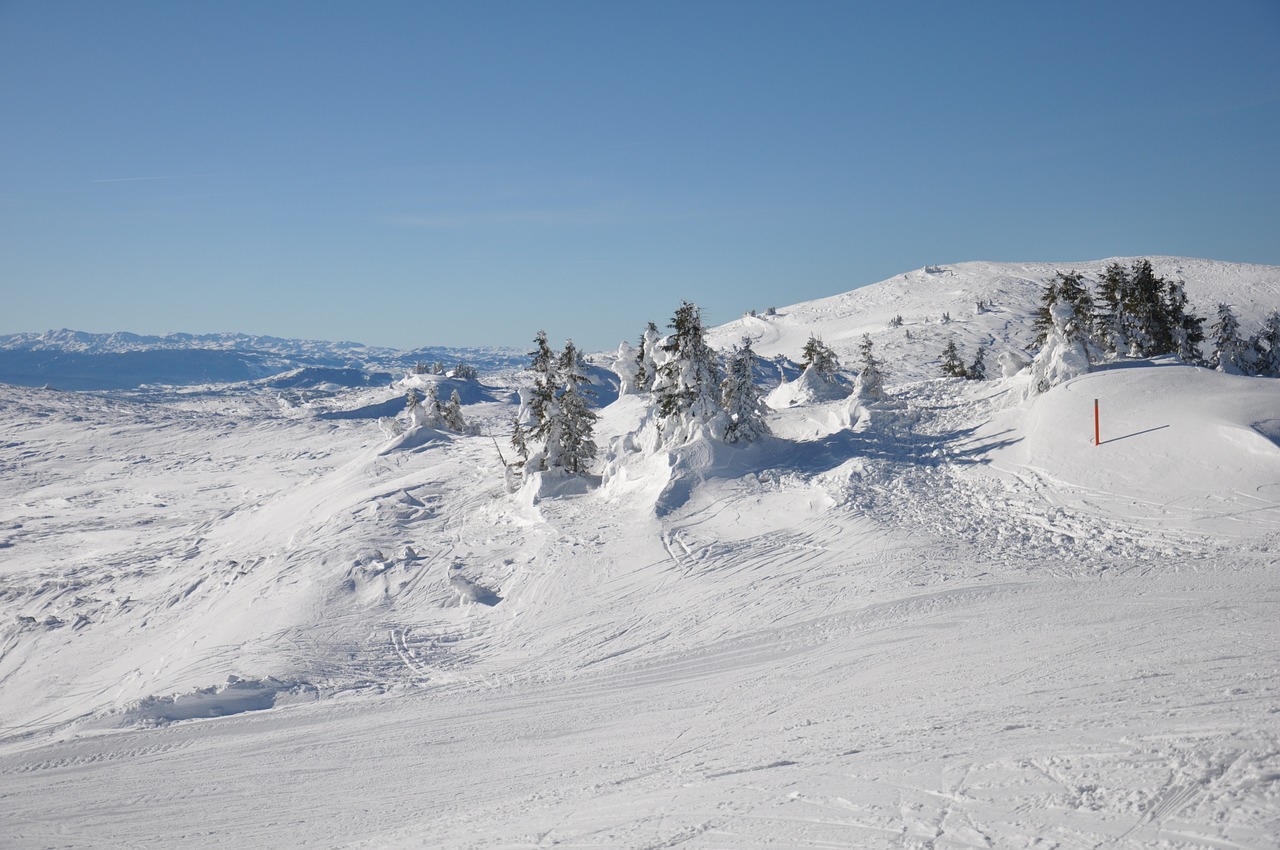 winter  snow  landscape free photo