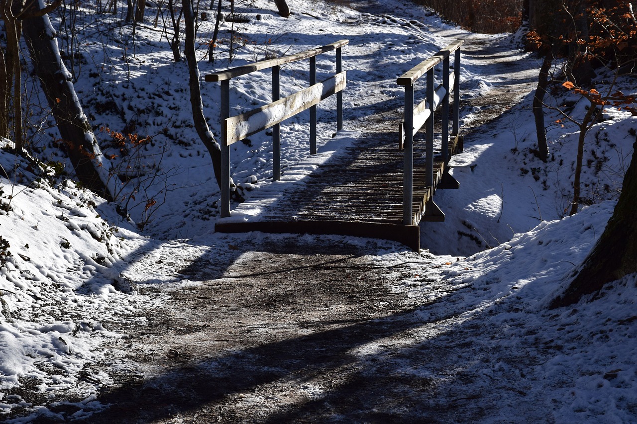 winter  bridge  snow free photo