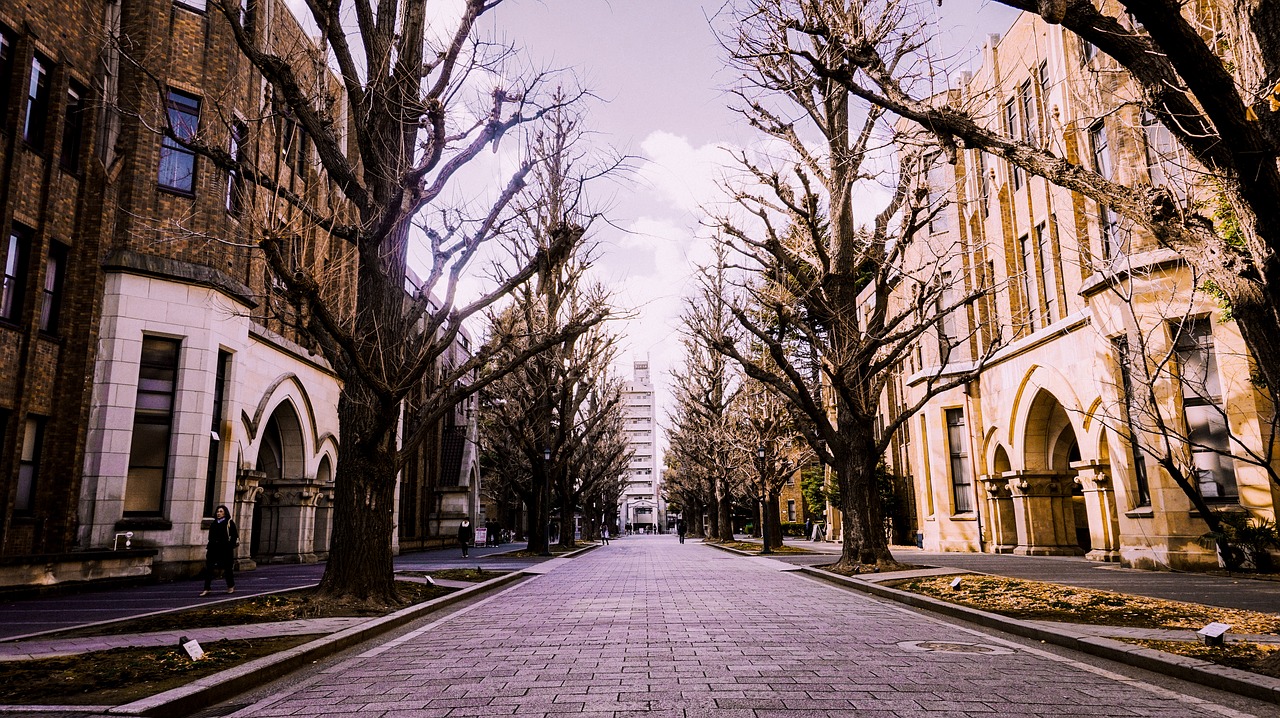 winter  japan  university of tokyo free photo