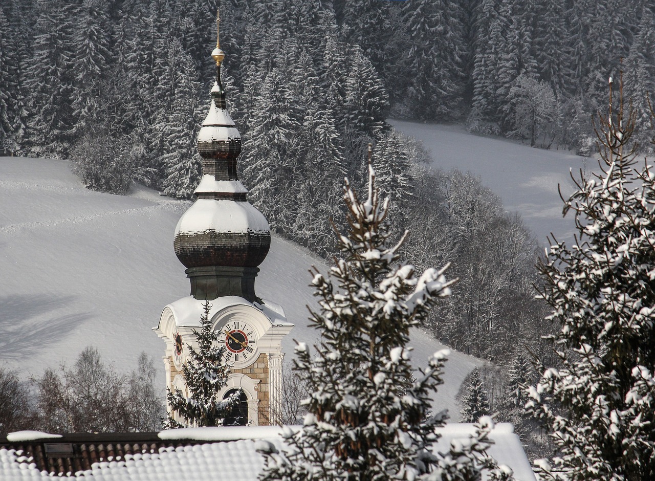 winter  snow  sunshine free photo