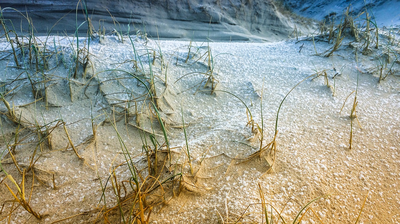 winter  north sea  denmark free photo