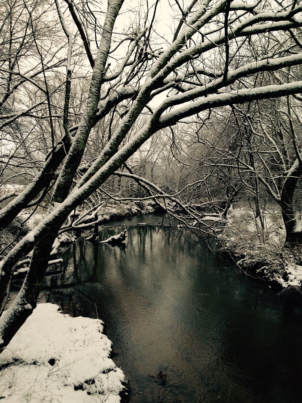 winter  wonderland  outdoors free photo