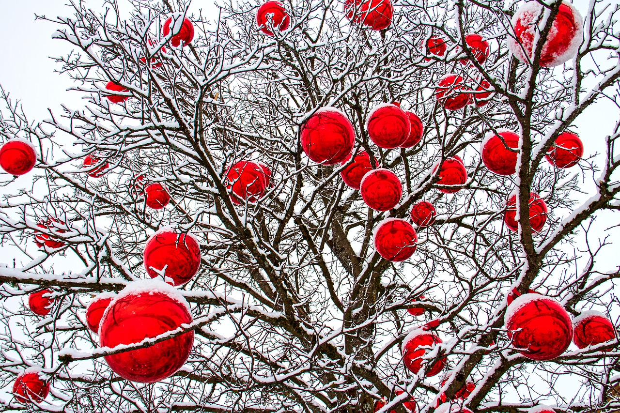 winter  tree  christmas free photo