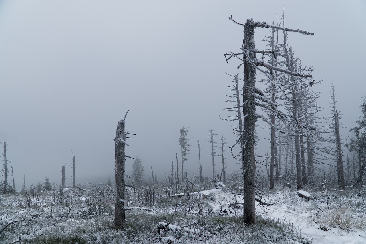 winter  mountains  hurricane free photo