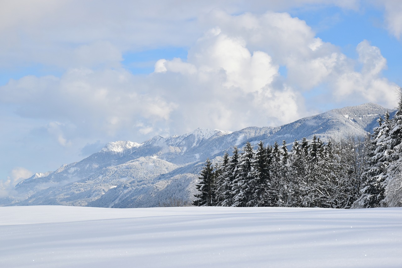 winter  snow  snowy free photo