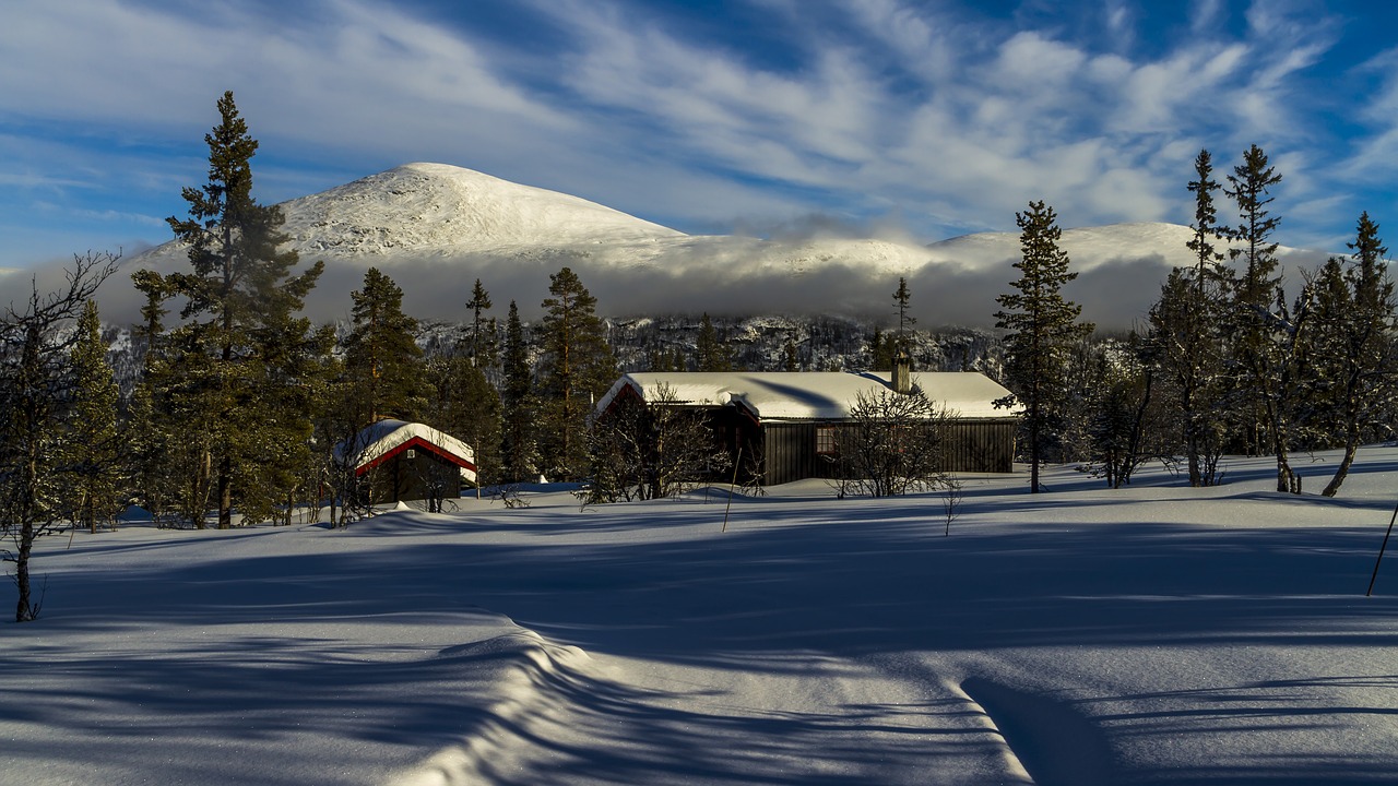 winter  snow  cottage free photo