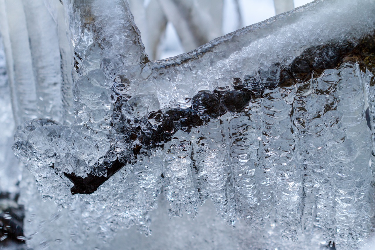 winter  icicle  snow free photo