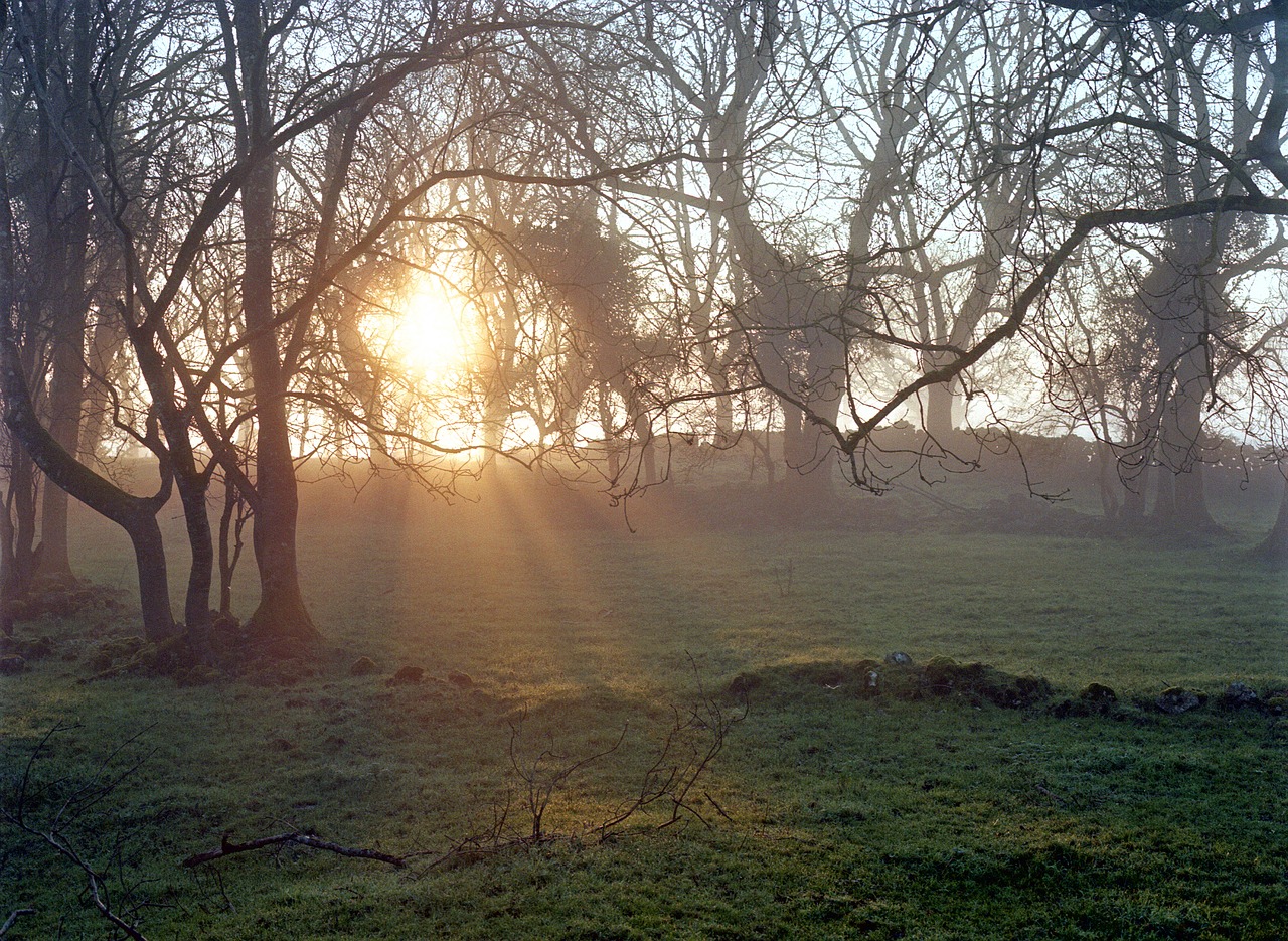 winter  sunrise  fog free photo