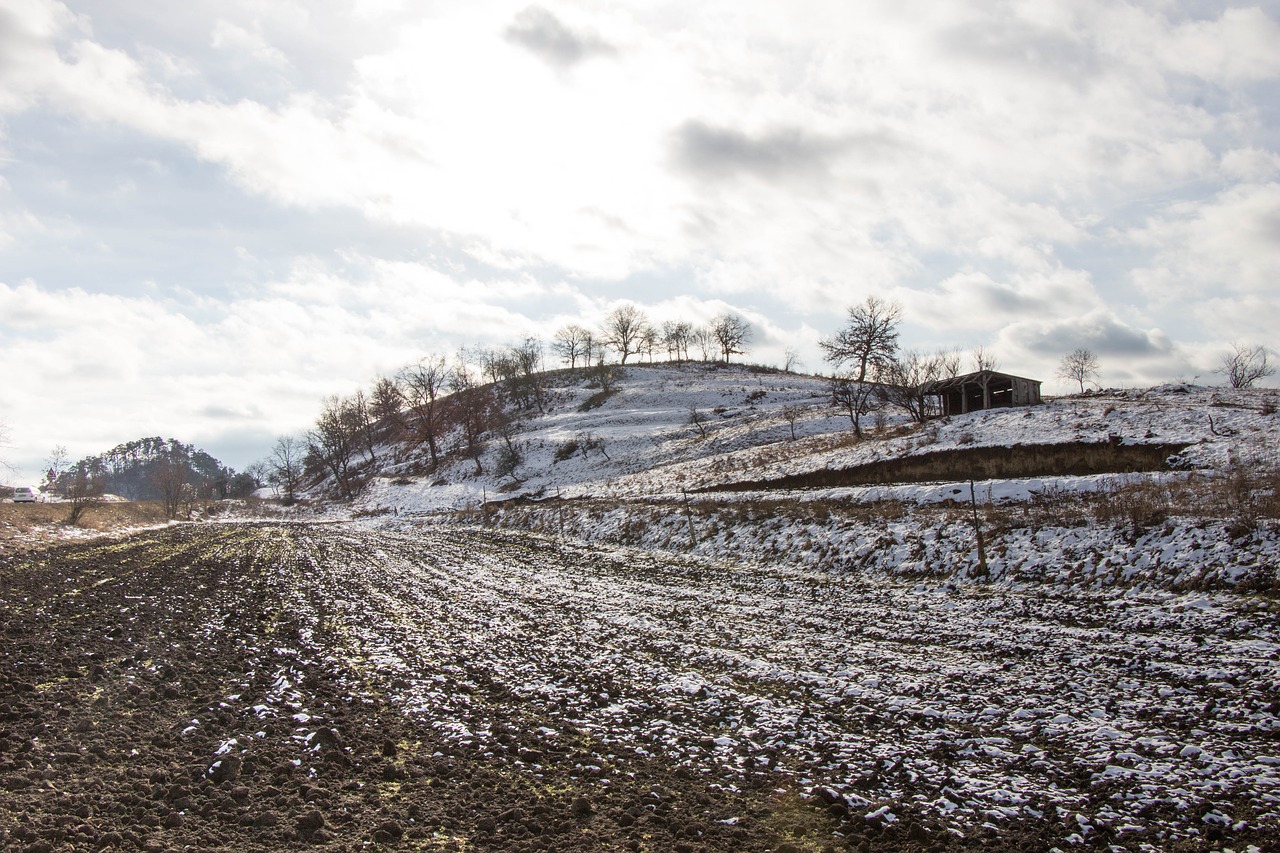 winter  landscape  nature free photo