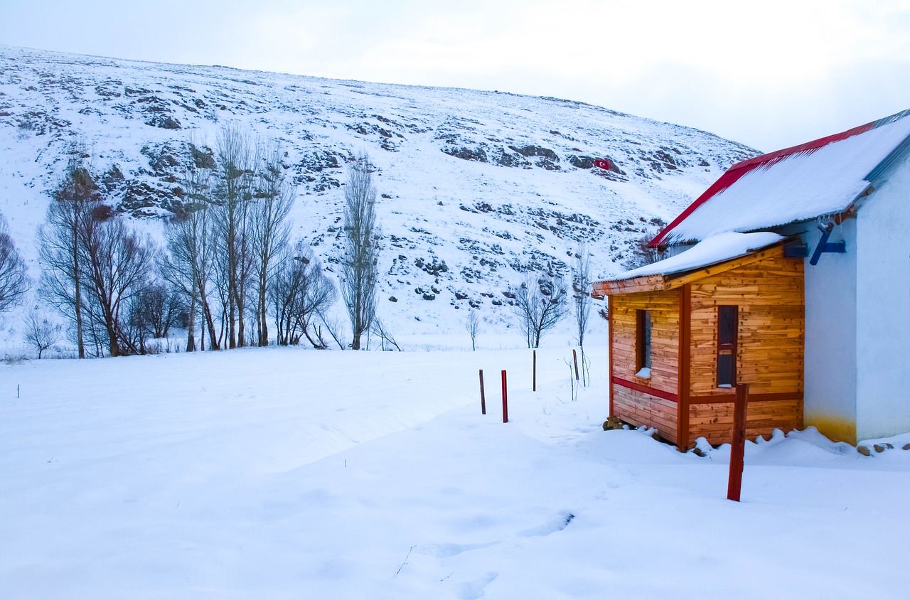 winter  hut  nature free photo