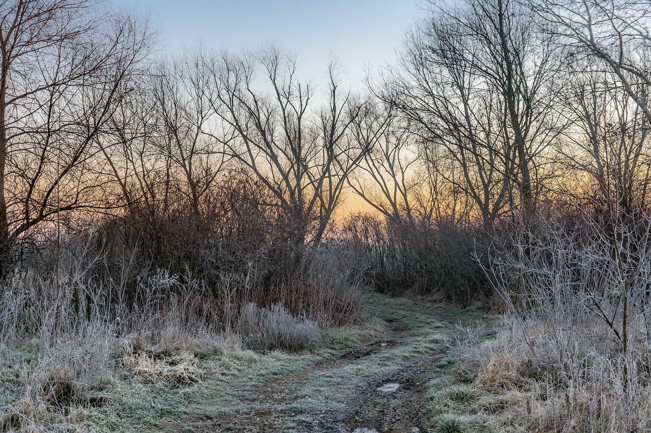 winter  river  nature free photo