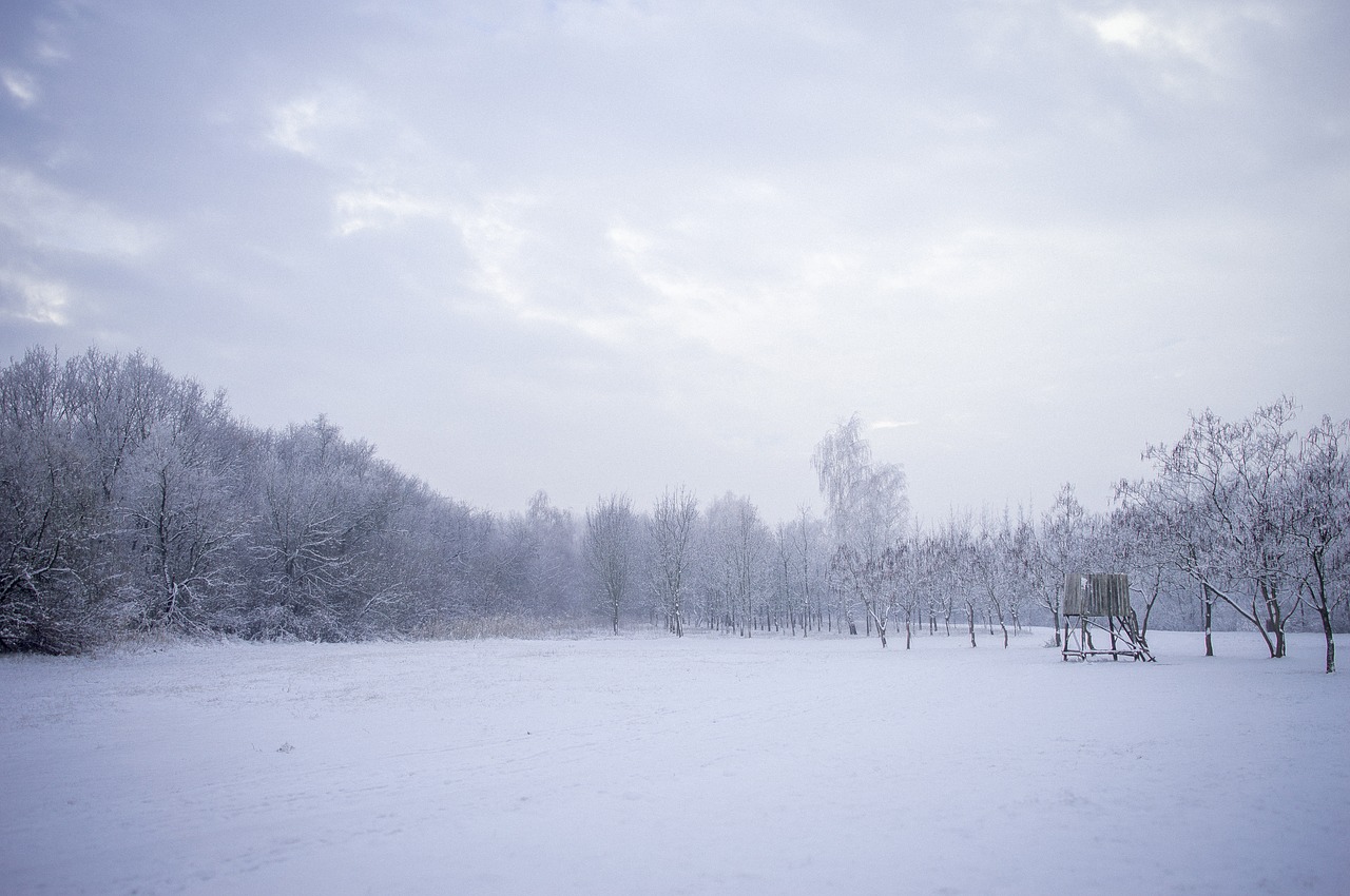 winter  blue  cold free photo