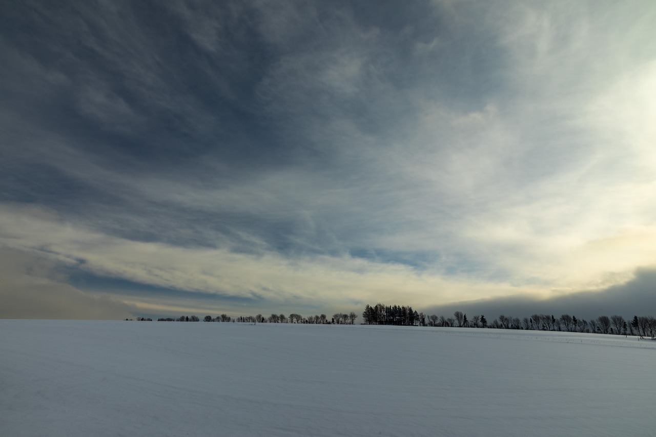 winter  hilme  altenberg free photo