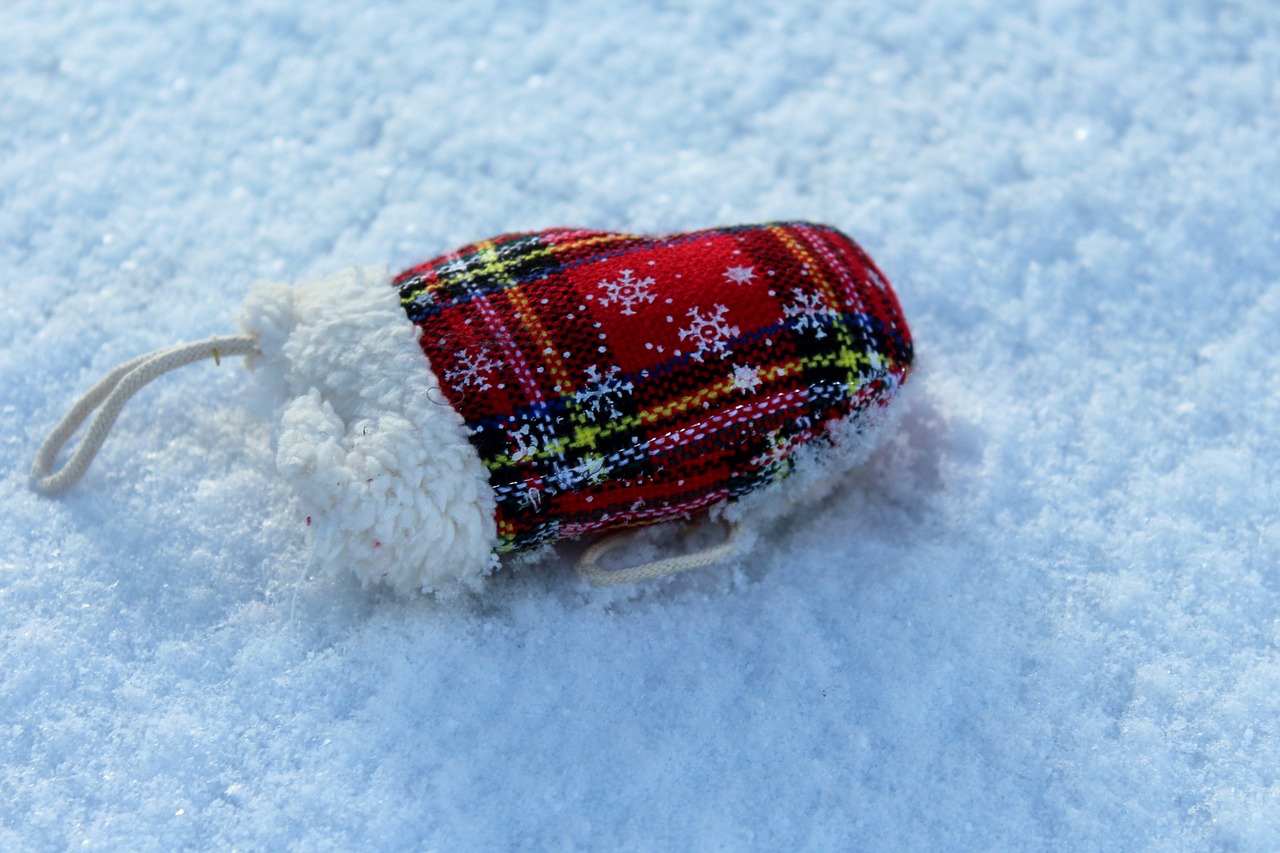 winter  glove  snow free photo