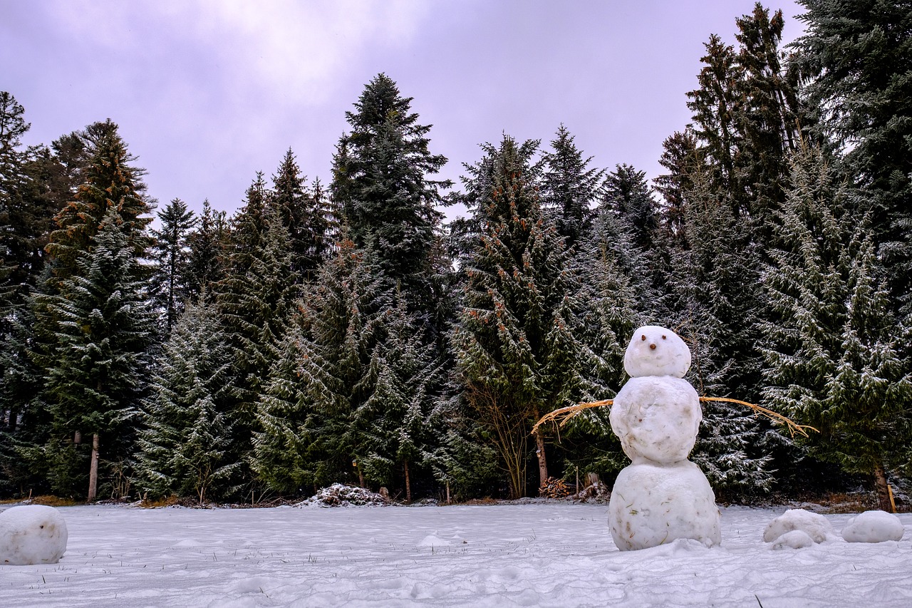 winter  snow  snowman free photo