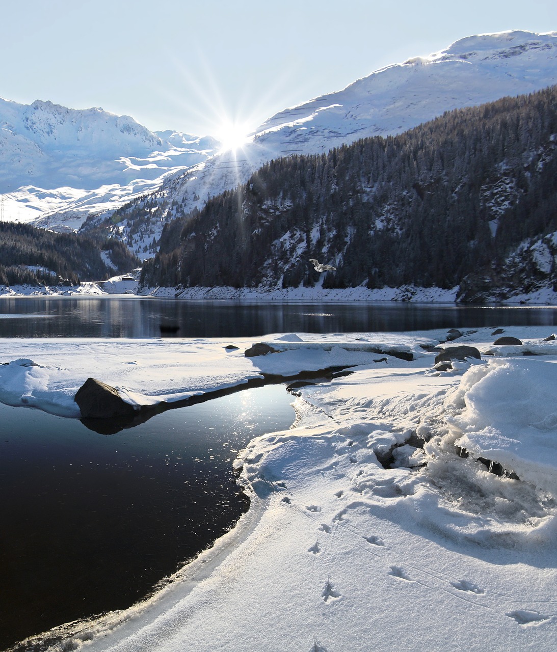 winter  mountain  snow free photo