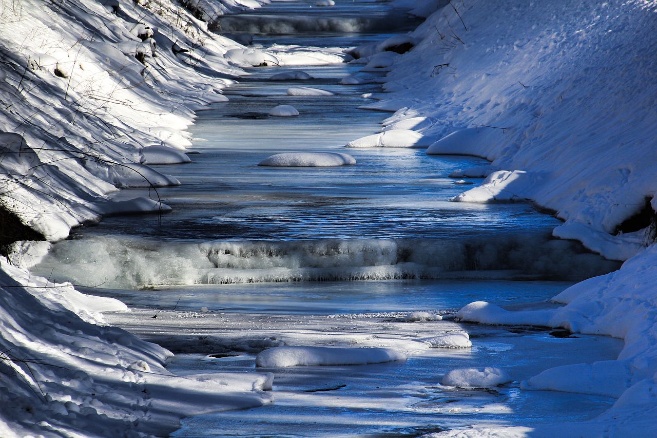 winter  wintry  ice free photo