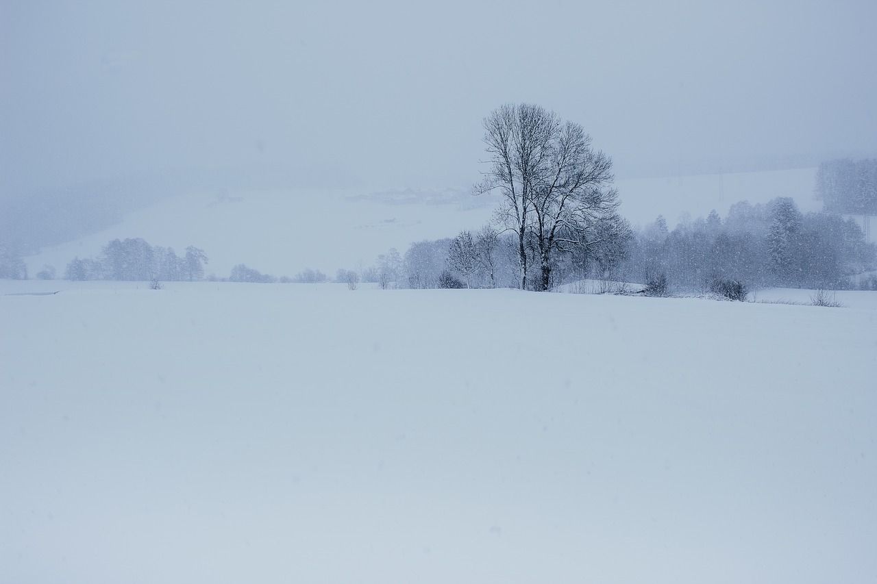 winter  snow  landscape free photo