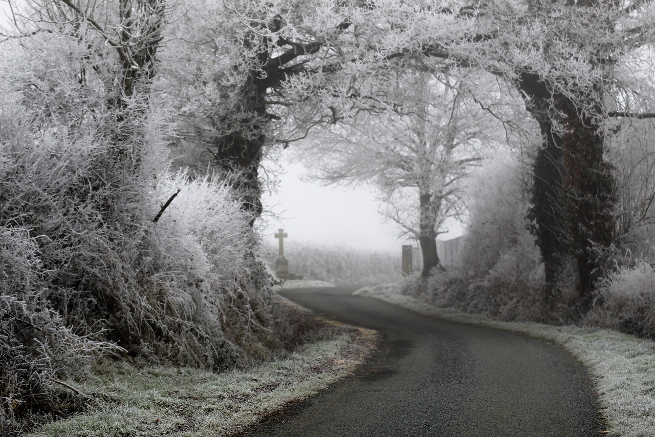 winter  road  gel free photo