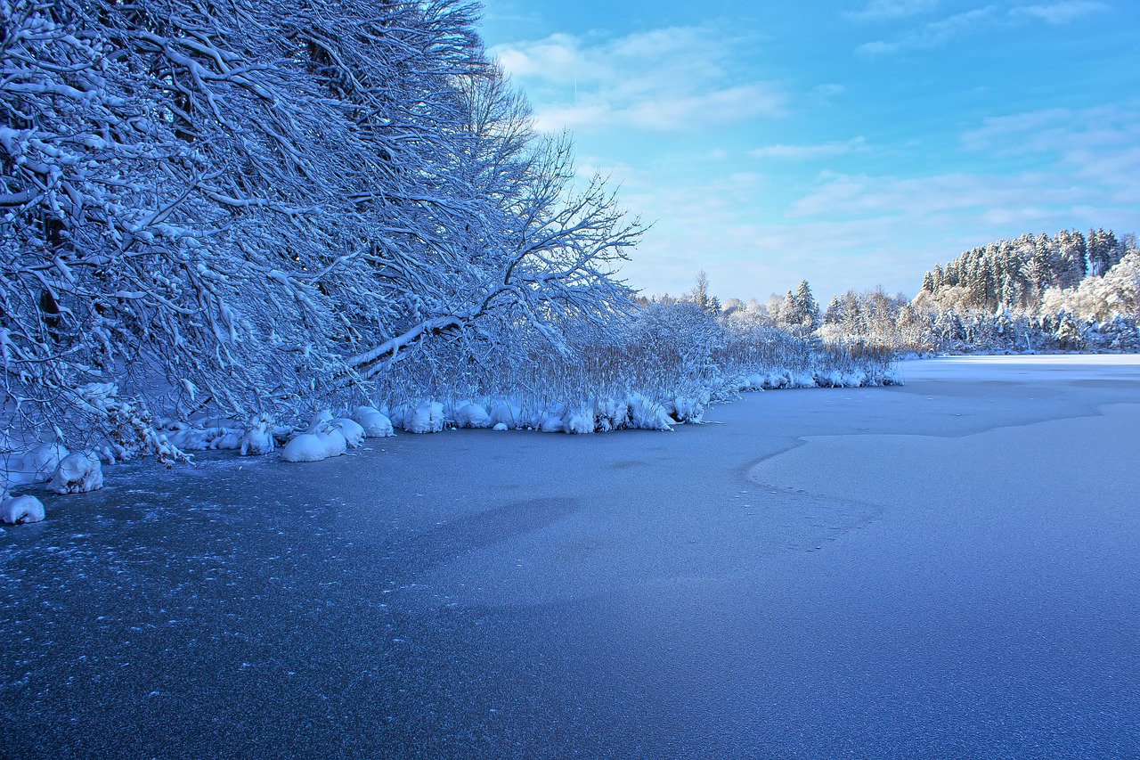 winter  lake  frozen free photo