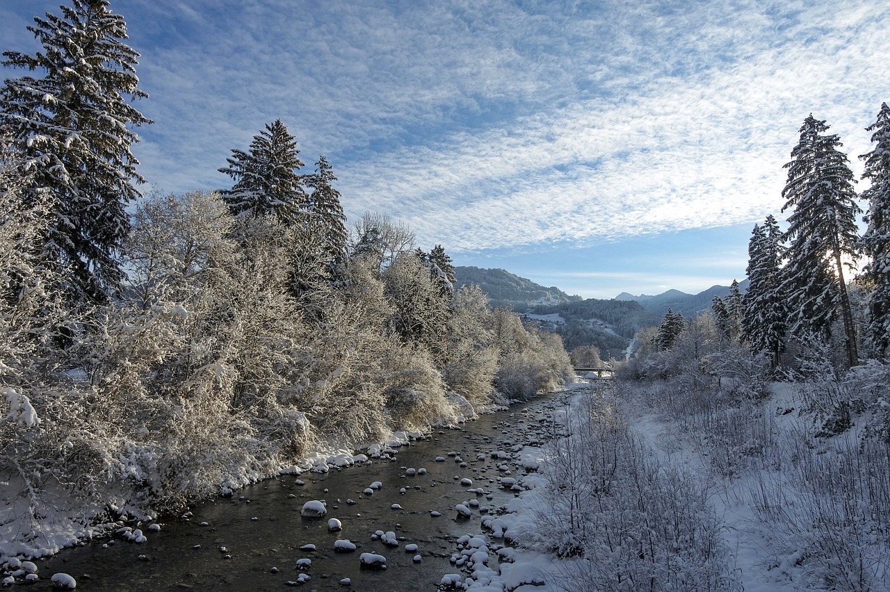 winter  bach  snowy free photo