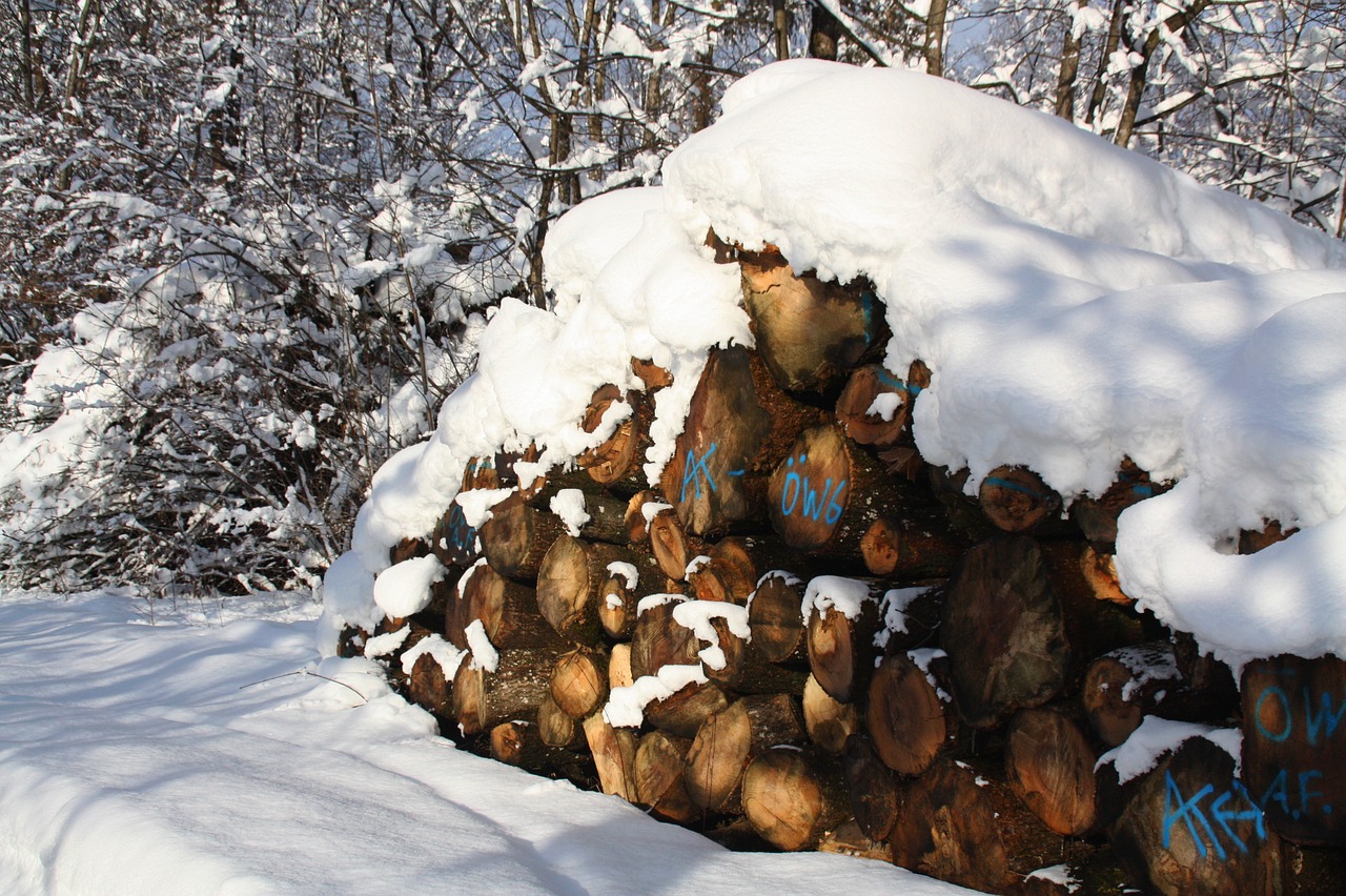winter  snow  firewood free photo