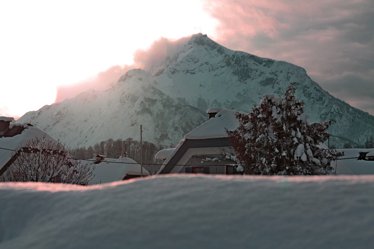 winter  snow  snow landscape free photo