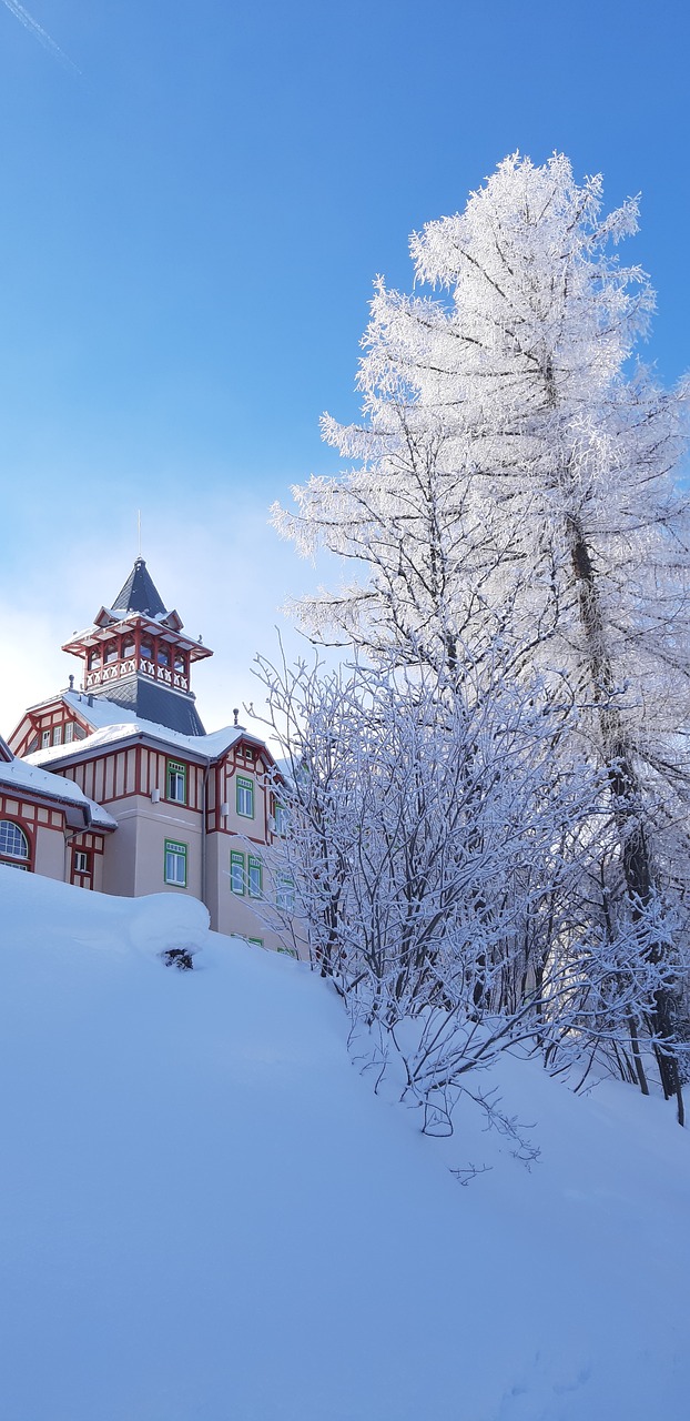 winter  snow  blue free photo