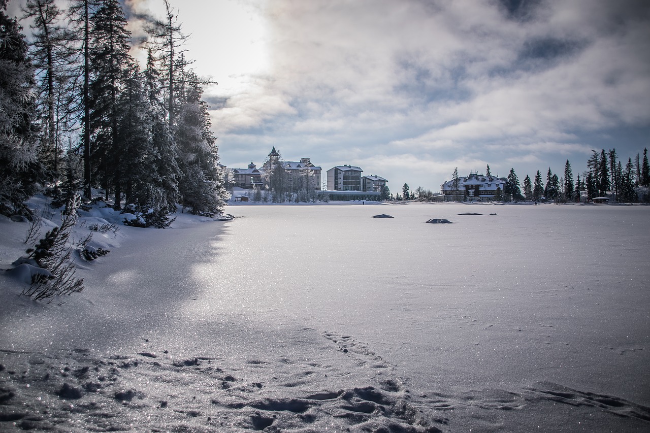 winter  lake  snow free photo