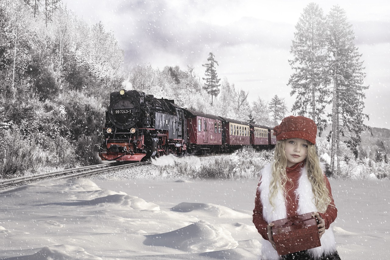 winter  train  snow free photo