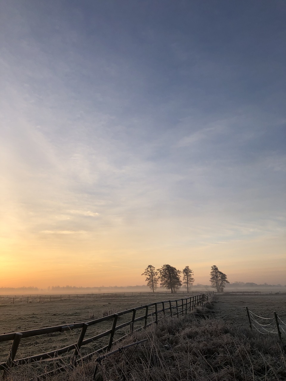 winter  landscape  sunrise free photo