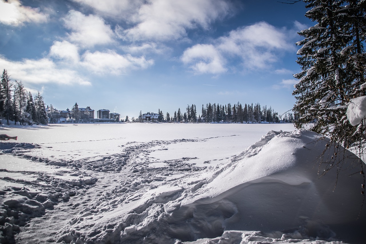 winter  lake  snow free photo