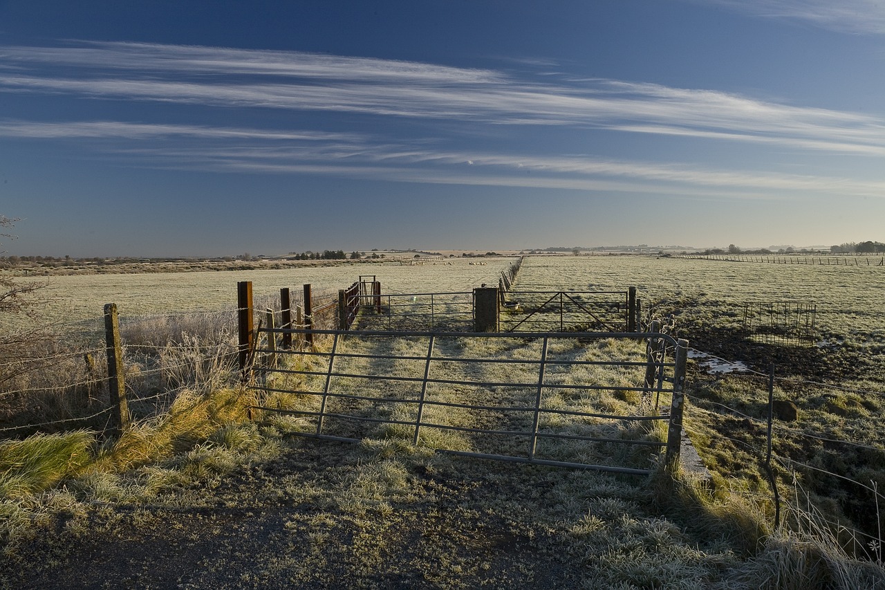 winter  frost  field free photo