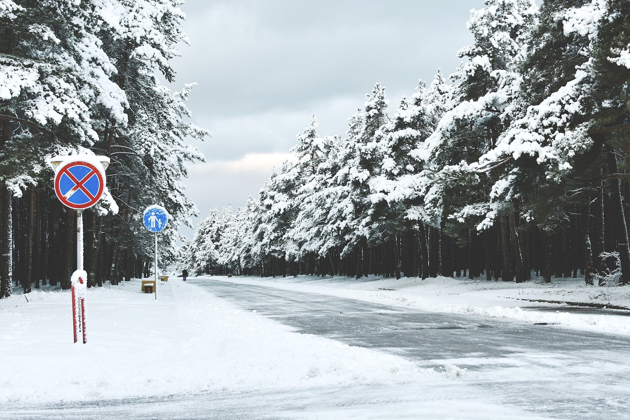 winter  snow  snow landscape free photo