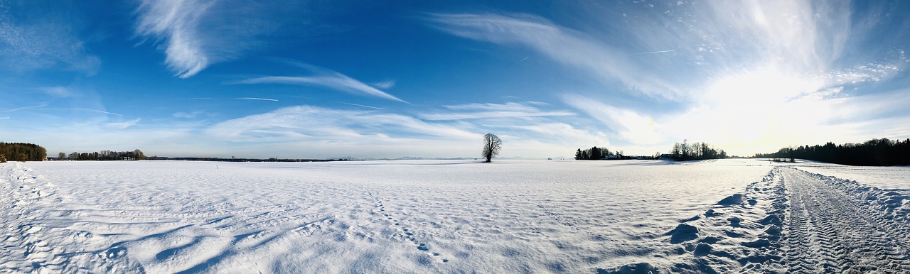 winter  snow  nature free photo