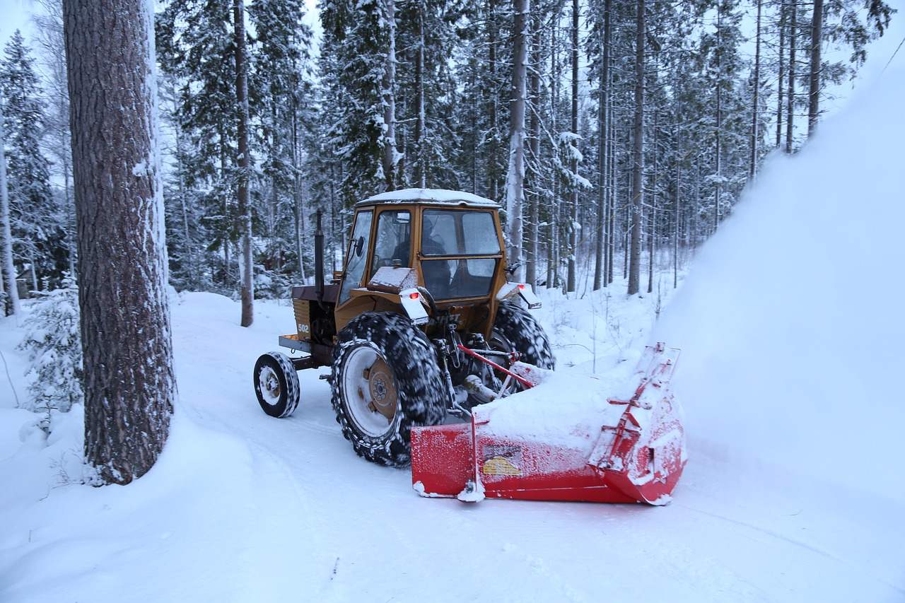 winter  snow  snow thrower free photo