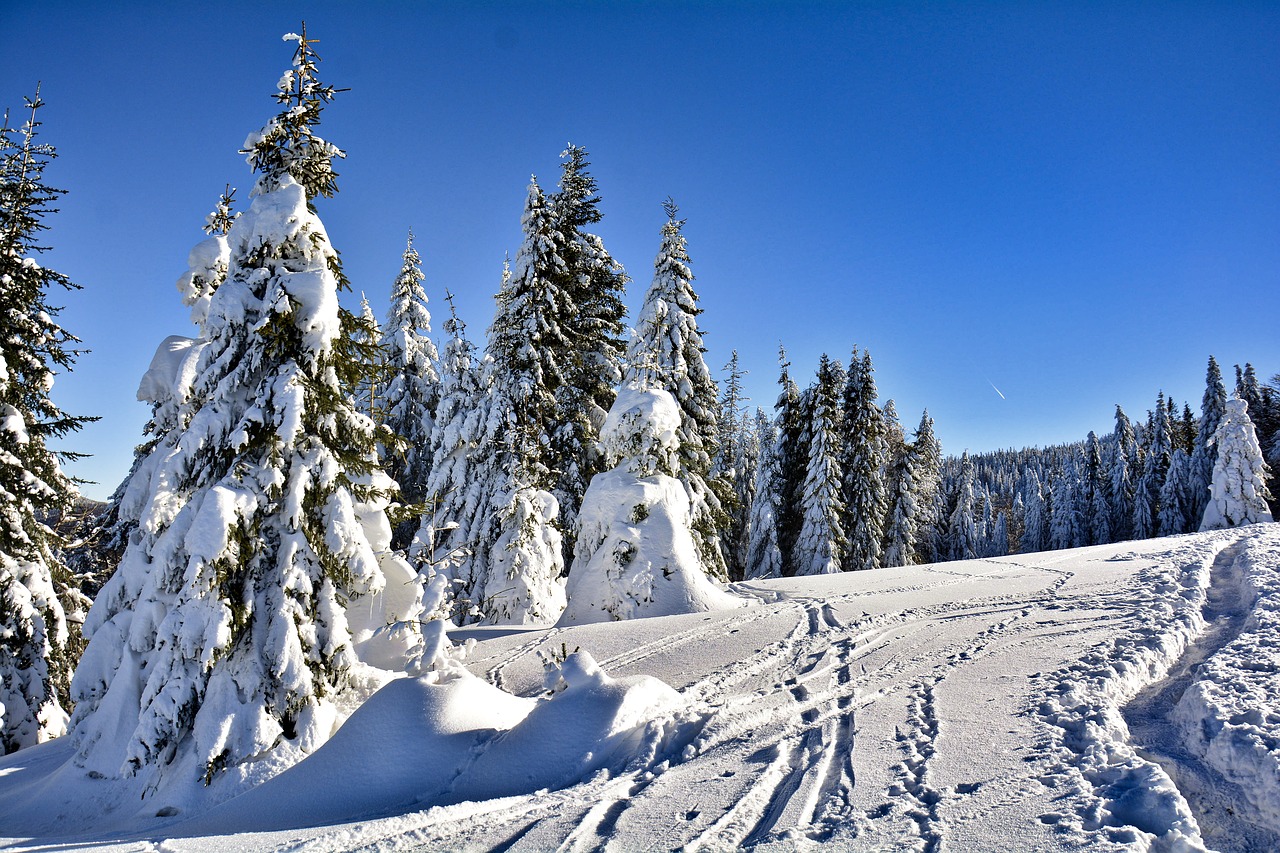 winter  mountains  snow free photo