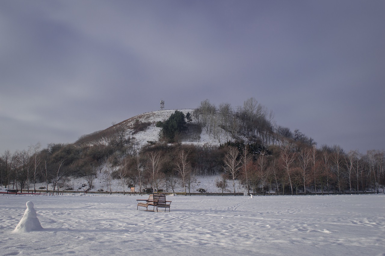 winter  hill  landscape free photo