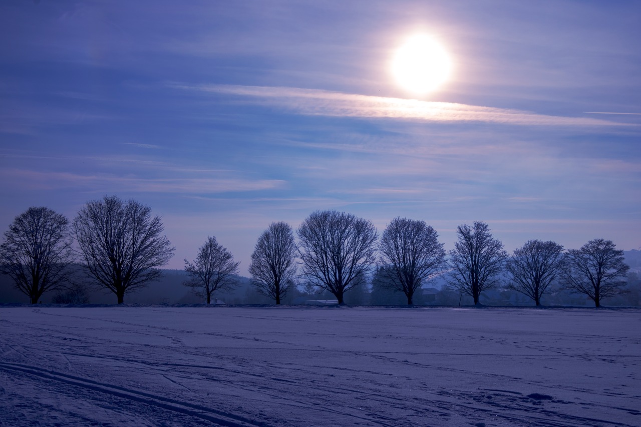 winter  landscape  sun free photo