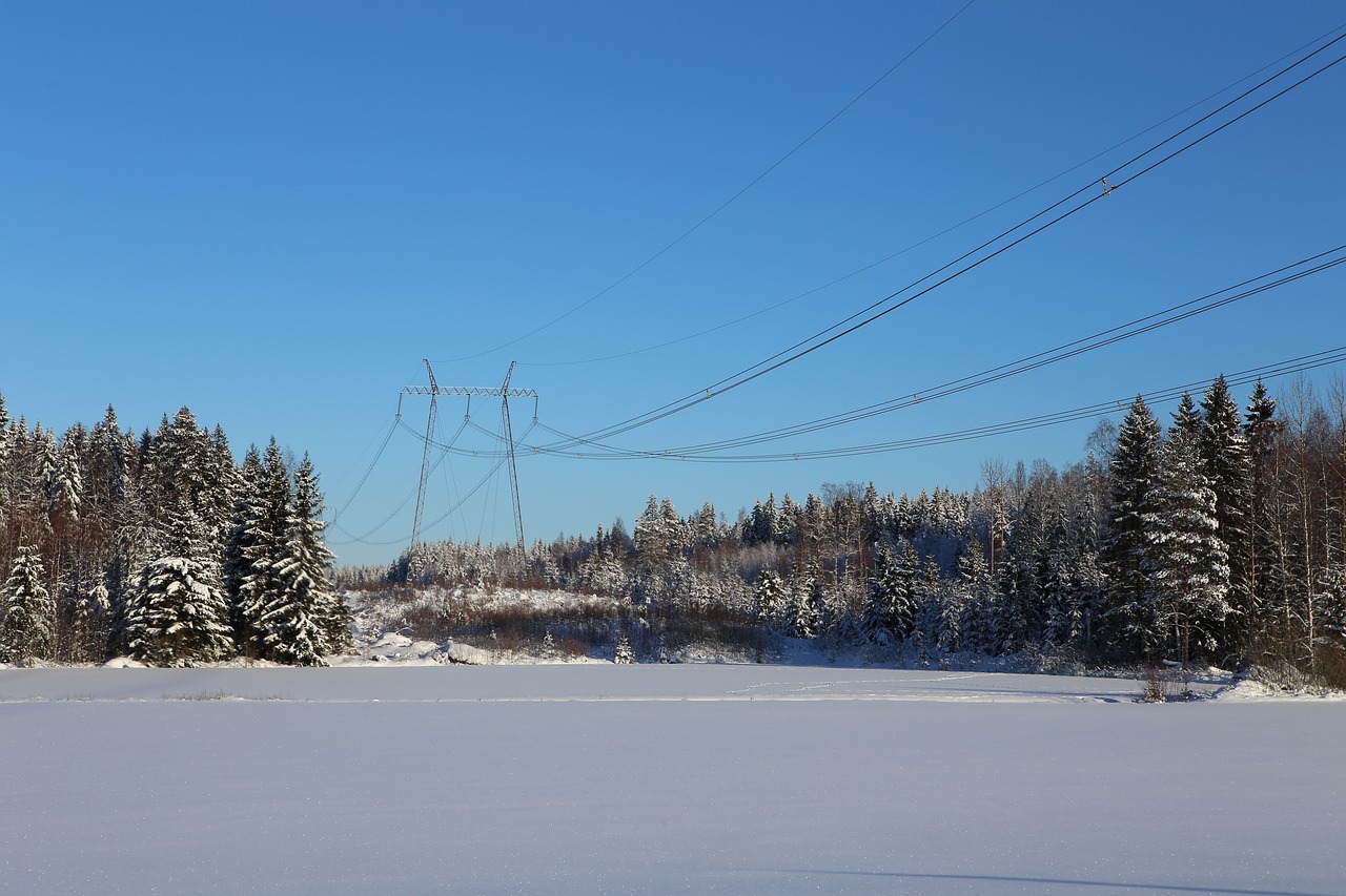 winter  snow  frost free photo