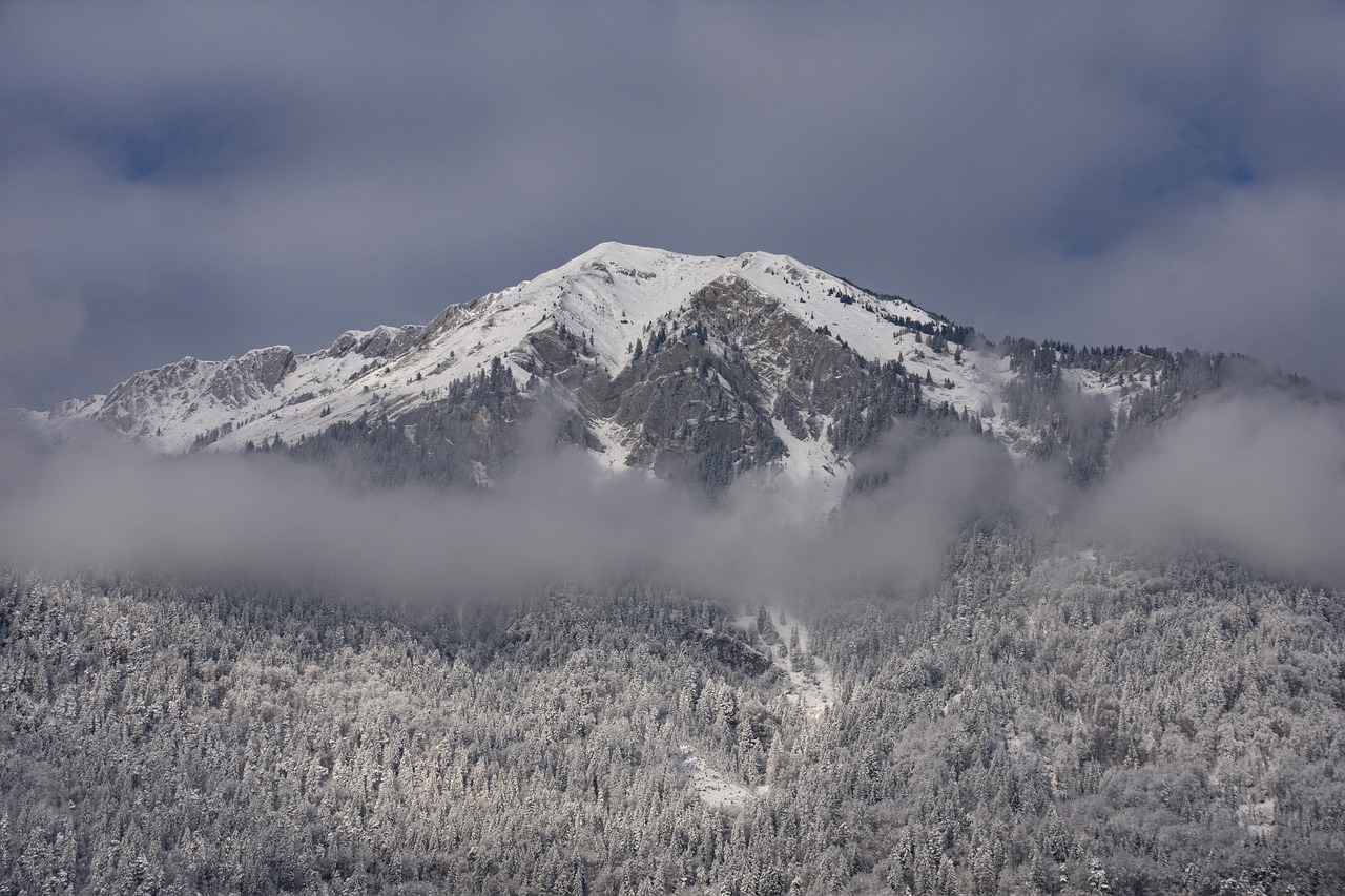 winter  snow  water free photo