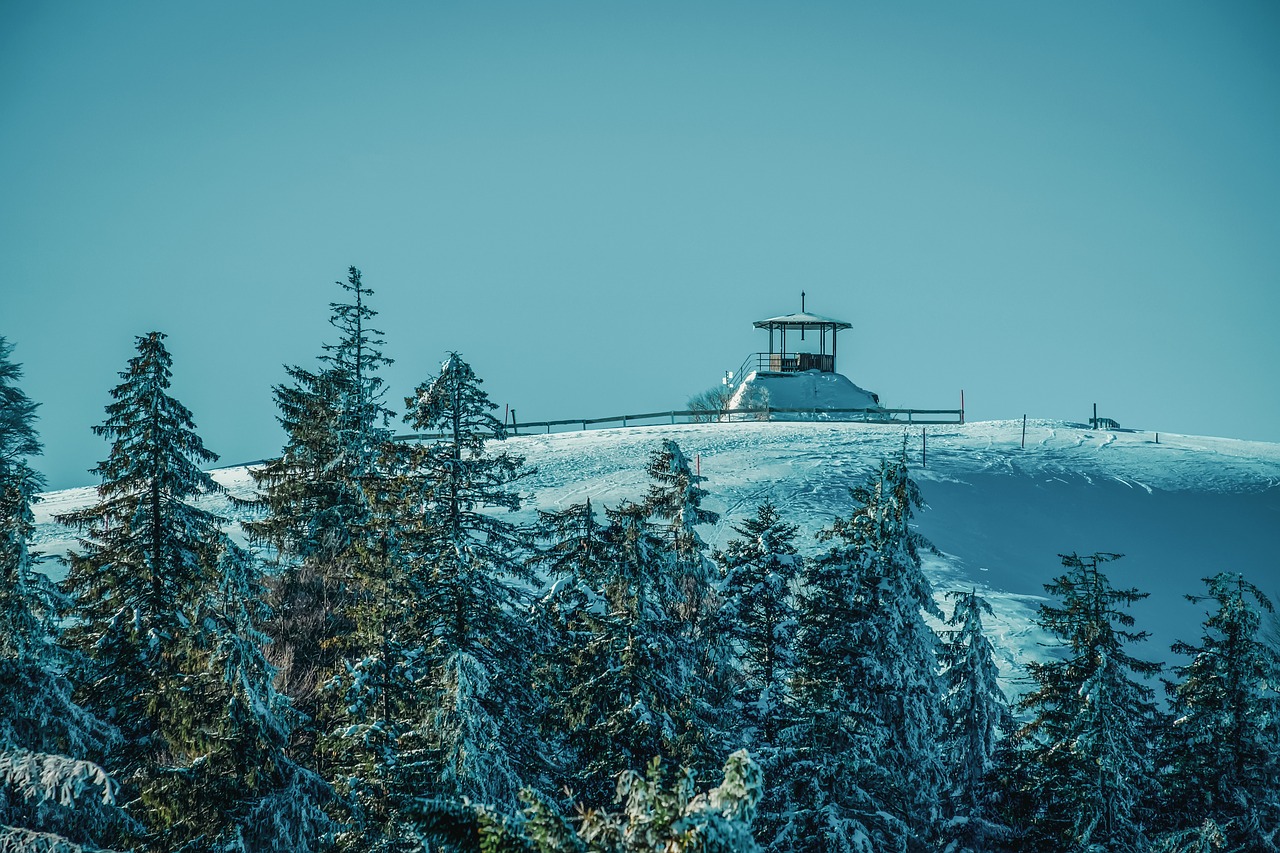 winter  ski area  panorama free photo